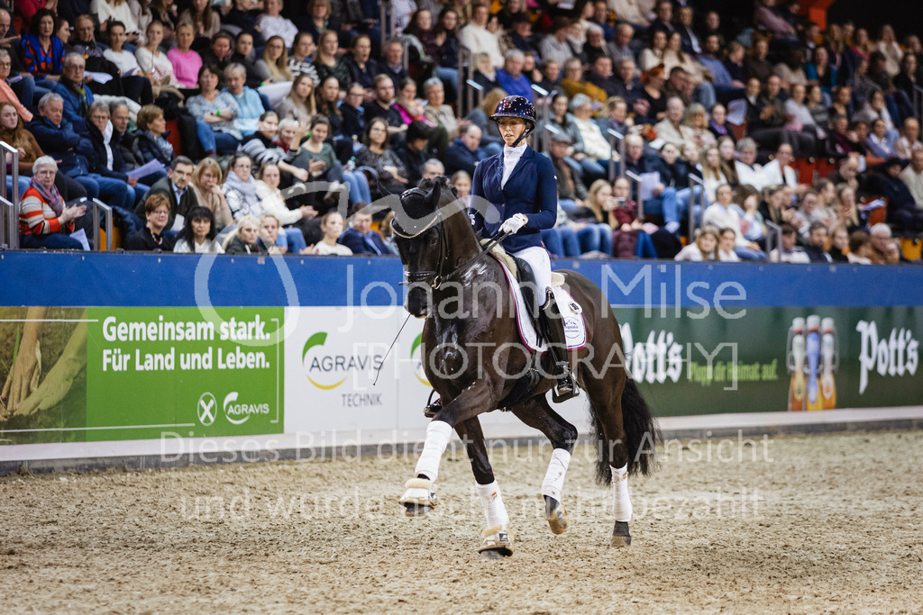 250108_Muenster_Hengstpräsentation-165 | Deine schönsten Turniermomente als professionelle Fotos! Entdecke hochwertige Pferdesport-Fotografie im Online-Shop. Jetzt Fotos finden & bestellen!