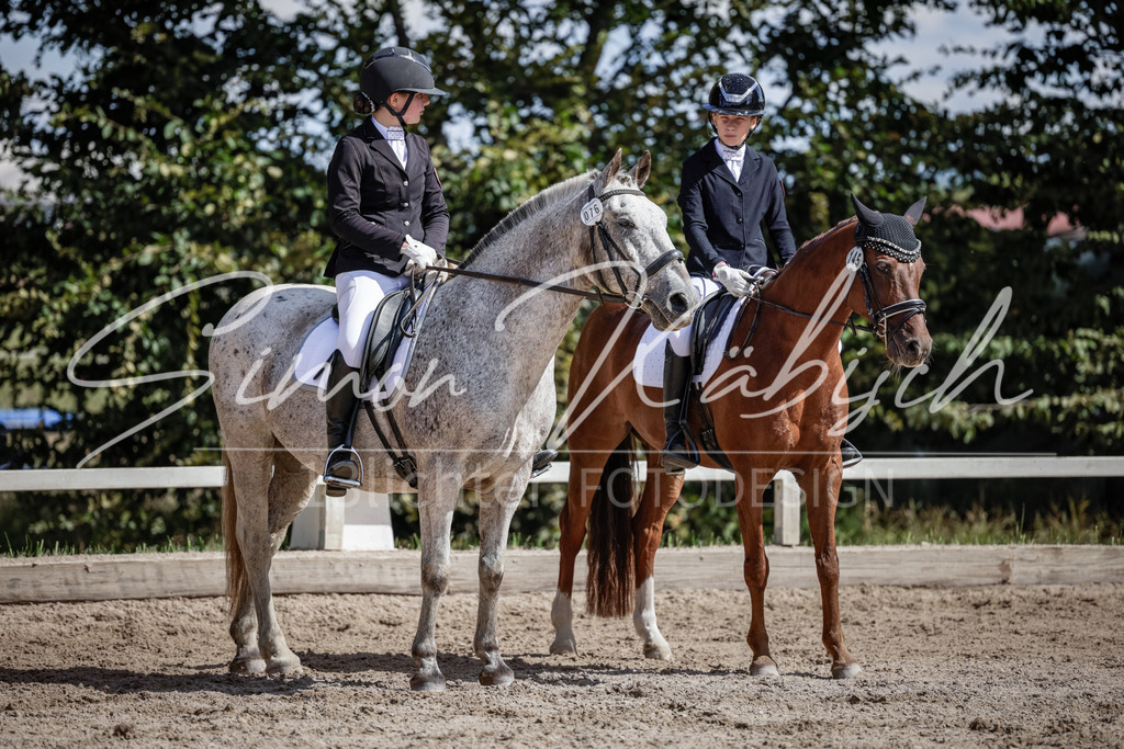 20250906-_3LI5720 | Tierfotografie Pferde, Hunde, Katzen, Haustiere.
Turnierfotografie Reitturniere, Reiten, Springreiten, Dressur in Hanau, dem Main-Kinzig-Kreis und dem Rhein-Main- Gebiet um Frankfurt