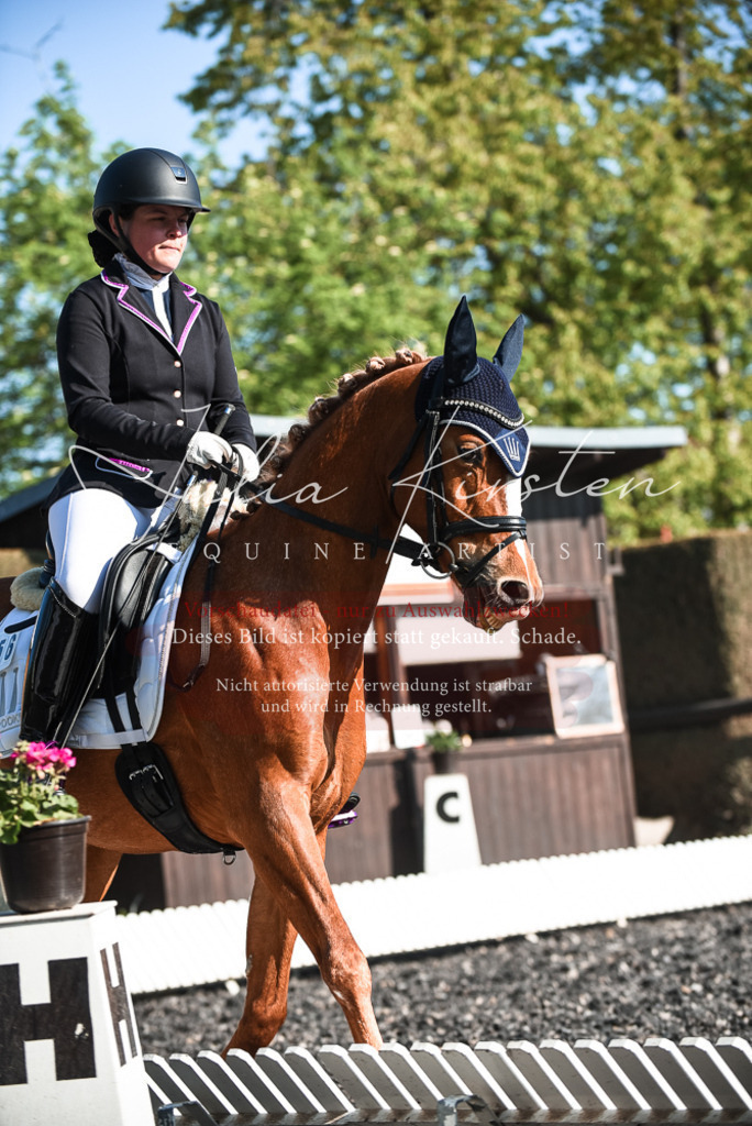DSC_8415 | Pferde- und Turnierfotografie in Westsachsen. Pferdeportraits, Auftragszeichnungen und intuitive Kunst.
