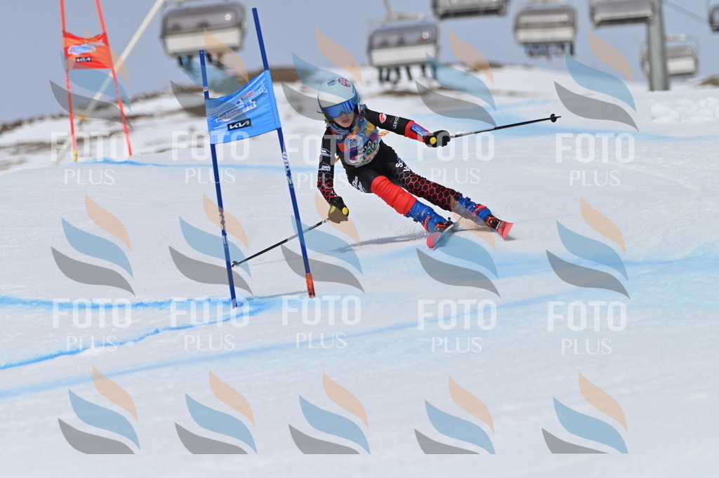 BGV_3808 | holidayphoto