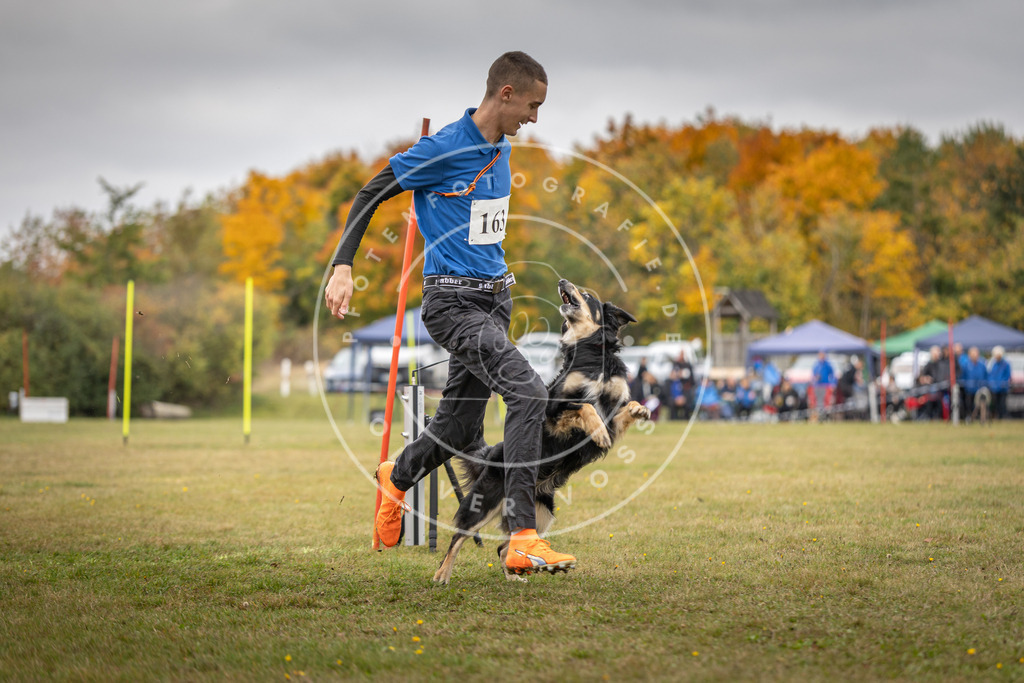 Pfotenfotografie_DV3A5238 | Hundefotografie, Tierfotograf, Pfotenfotografie, Fotoshooting Hund, Hunde Portrait, Hundesport, Hundeportraits, Heideshooting, Hunde, Sportfotograf, Hundefotograf, Turnierhundsport, THS,  - Realisiert mit Pictrs.com