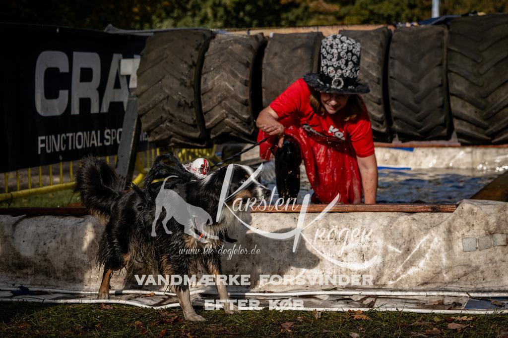 1354_ZZ93338 | kk-dogfotos