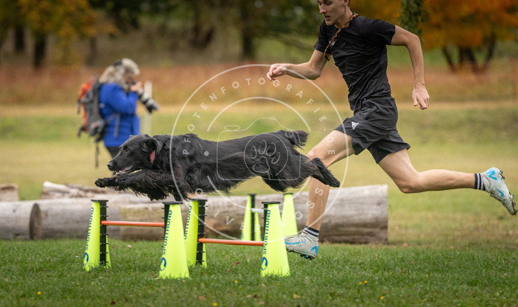 Pfotenfotografie_DV3A0036 | Hundefotografie, Tierfotograf, Pfotenfotografie, Fotoshooting Hund, Hunde Portrait, Hundesport, Hundeportraits, Heideshooting, Hunde, Sportfotograf, Hundefotograf, Turnierhundsport, THS,  - Realisiert mit Pictrs.com
