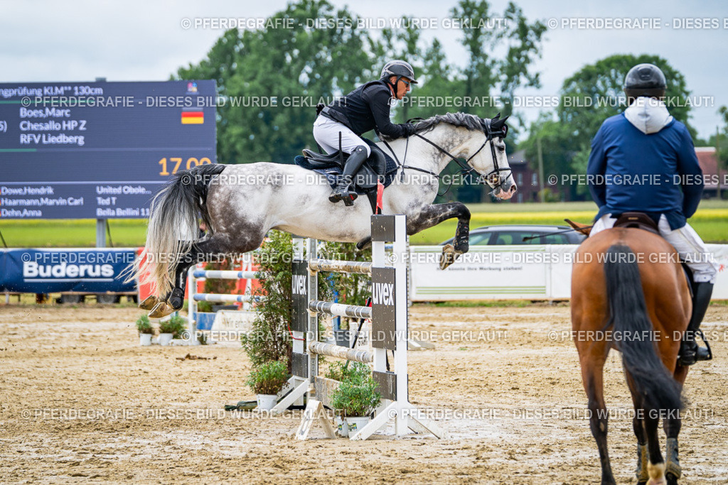 DSC04243 | Pferdegrafie