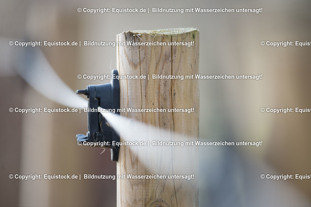 TS_20180305_Stromzaun_0002 | Foto: Thomas Hartig