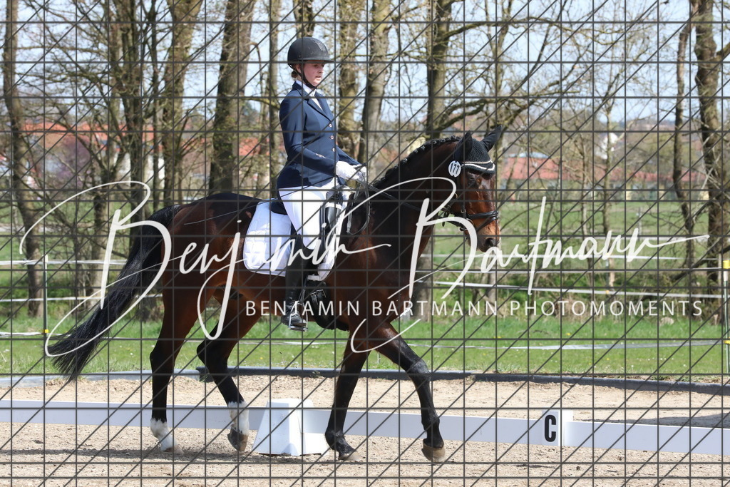 AZ2A3898 | Benjamin Bartmann Photomoments