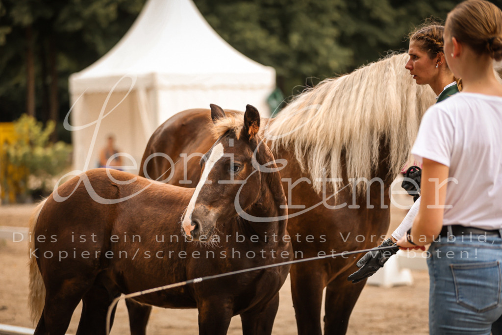 SaHF00097 | Leoni Ertmer Photography - Realisiert mit Pictrs.com