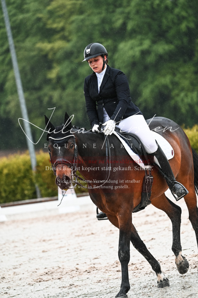DSC_4556 | Pferde- und Turnierfotografie in Westsachsen. Pferdeportraits, Auftragszeichnungen und intuitive Kunst.