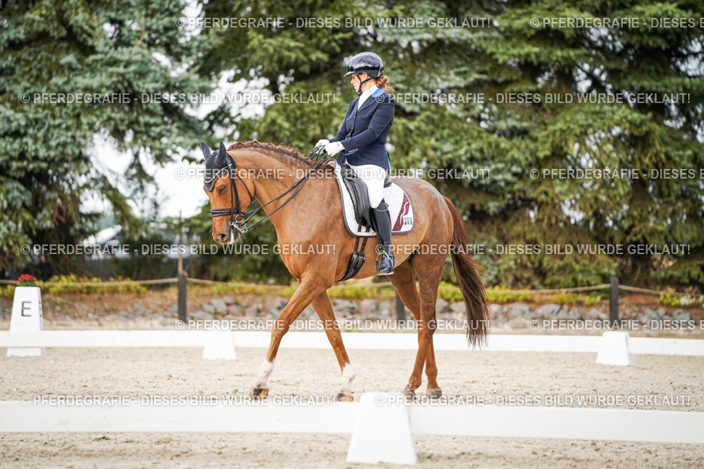 DSC08782 | Pferdegrafie