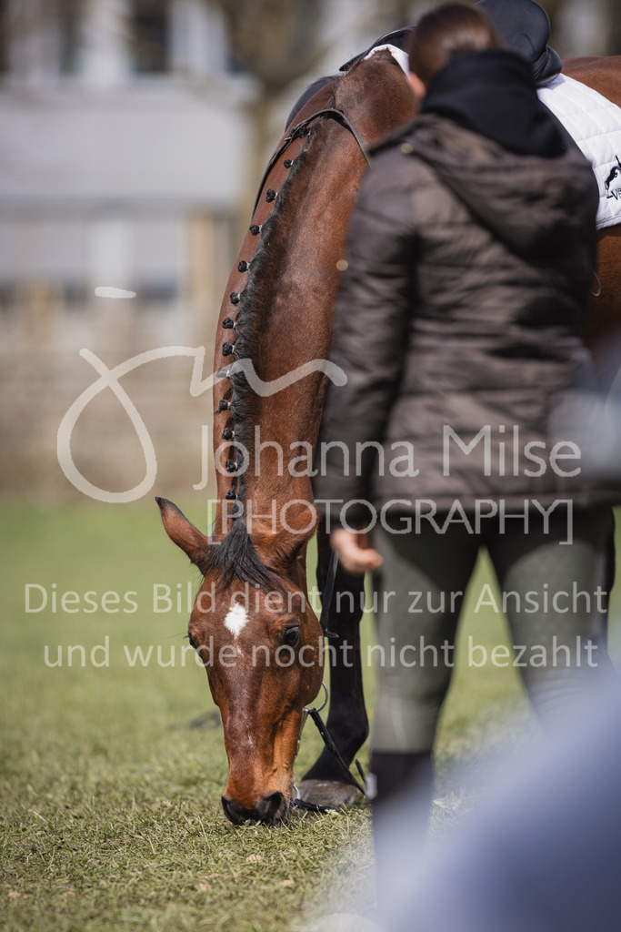 230410_Frühlingsfest_Impressionen-305 | Deine schönsten Turniermomente als professionelle Fotos! Entdecke hochwertige Pferdesport-Fotografie im Online-Shop. Jetzt Fotos finden & bestellen!