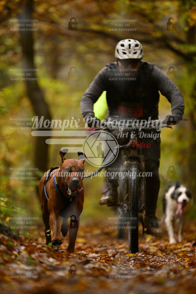 MompixPhotography_CD7S_DI_Bike-31 | mompixphotography