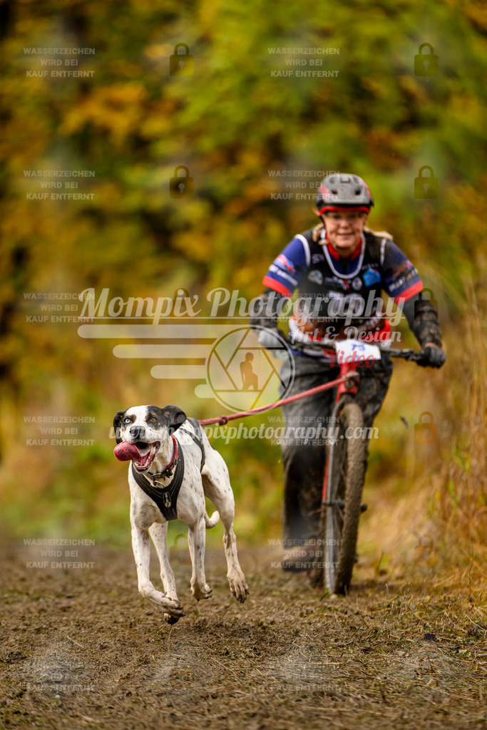 MompixPhotography_ICF_WC_2024_SA_DS_-177 | PayLife