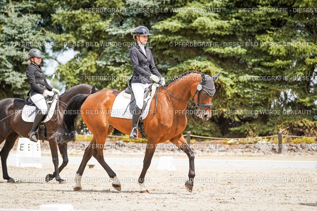 DSC03460 | Pferdegrafie