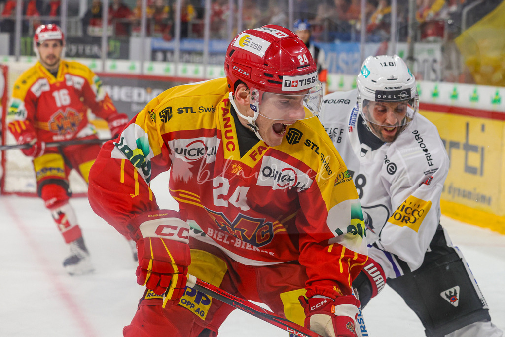 EHC Biel-Bienne vs HC Fribourg-Gottéron - 29. October 2024 | EHC Biel-Bienne vs HC Fribourg-GottéronTissot Arena, Biel-BienneBild: Waltraud Blaurock | Blaurock Pix