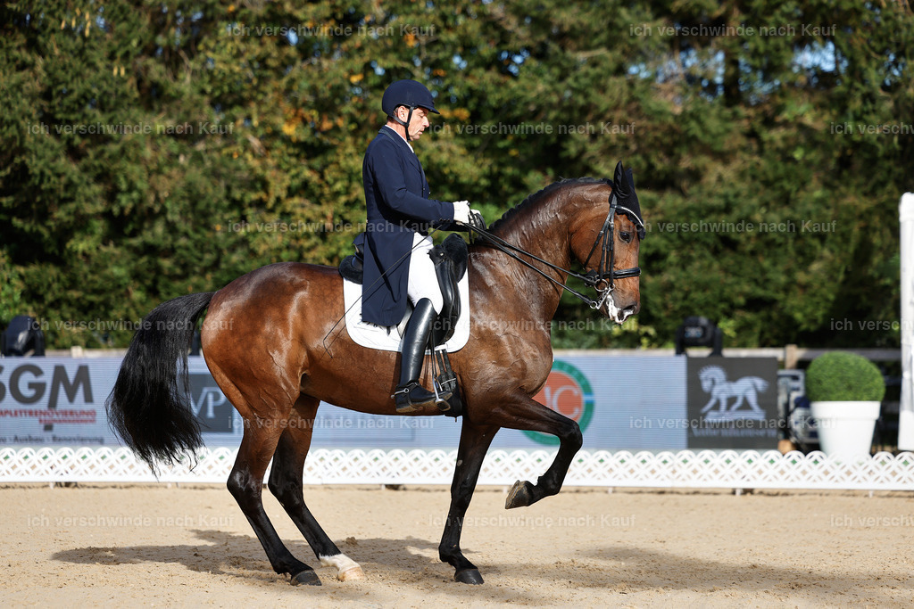 13-226-S___ -StoibPH-6927 | working equitationturnier fotograf videograf stoibphotography marixx film working equitation deutschland reitsport turnierfotografie eventfotografie equestrian events
