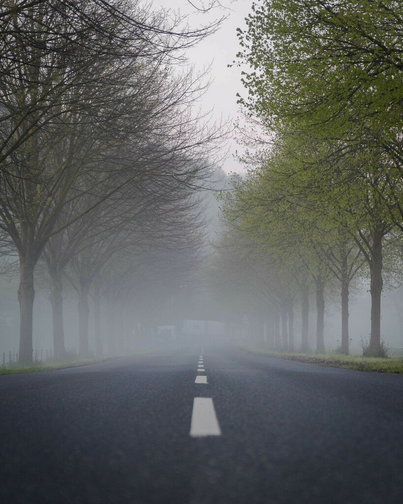 Lindenallee Wahlscheid | Lindenallee in Wahlscheid Süd - Realisiert mit Pictrs.com