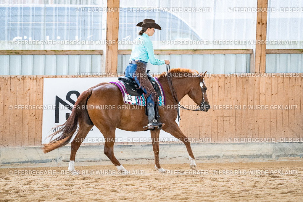 DSC03246 | Pferdegrafie