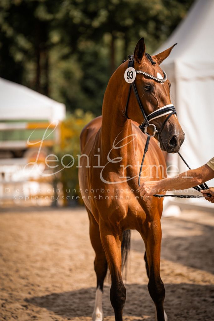 FrER00102 | Leoni Ertmer Photography - Realisiert mit Pictrs.com