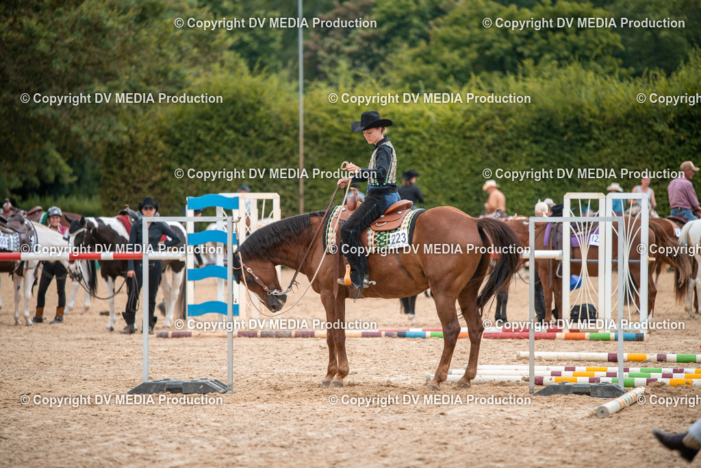 ZS2_7800 | dv-media-shop - Realisiert mit Pictrs.com