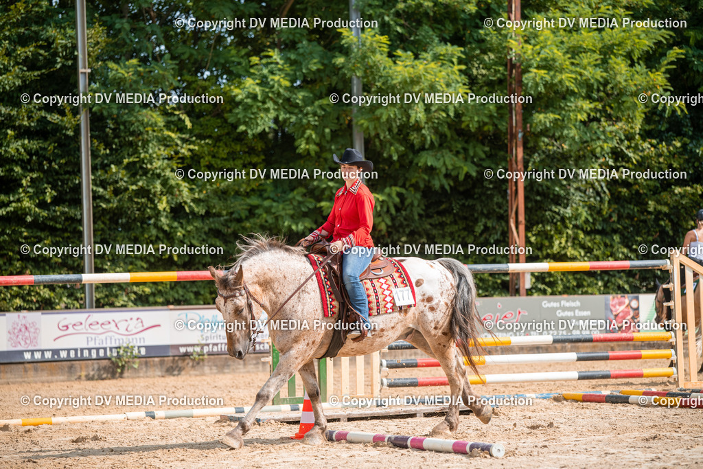 ZS2_7626 | dv-media-shop - Realisiert mit Pictrs.com