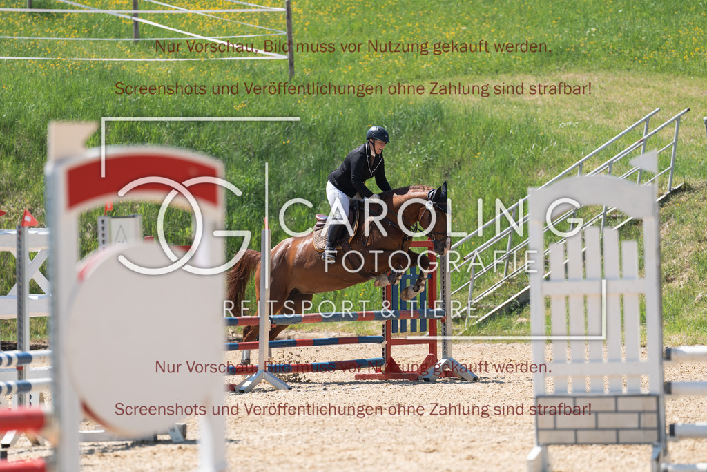 DSC04466 | Springturnier_Ehingen_Mai_2026, Sabrina_Börner, Caru_2