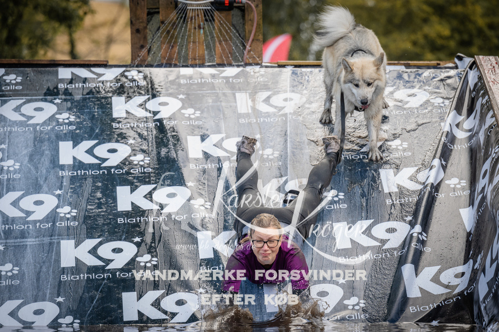 1529_ZZ94673 | kk-dogfotos