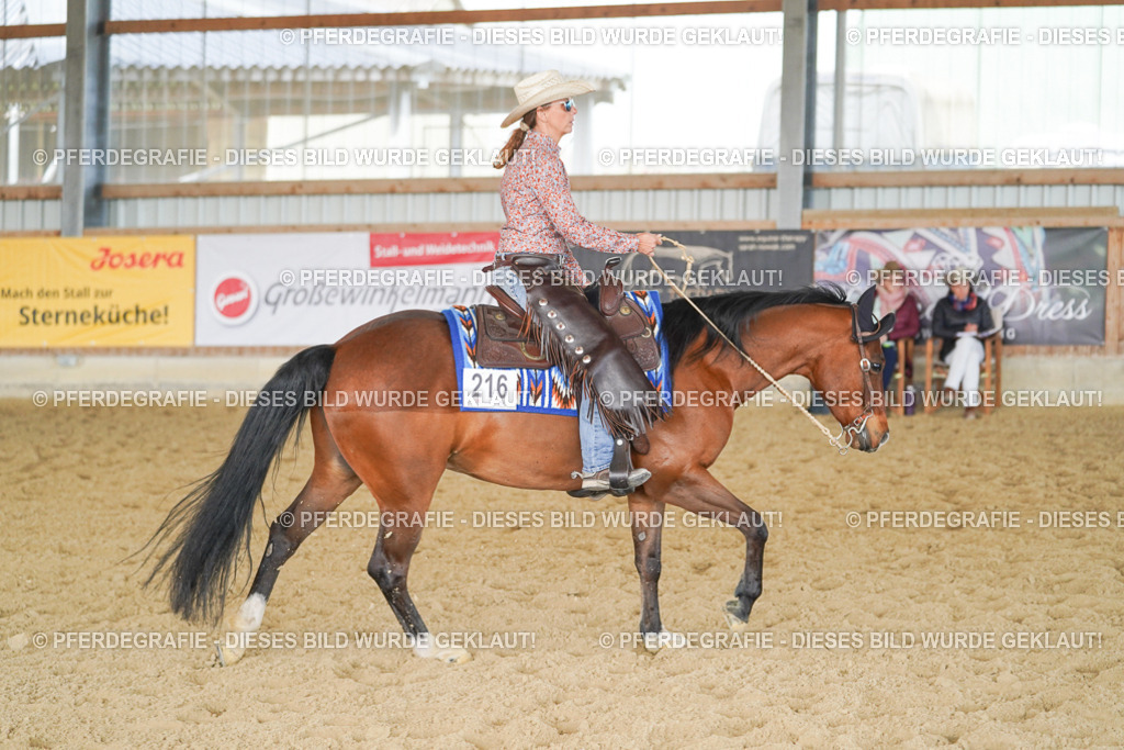 DSC01036 | Pferdegrafie