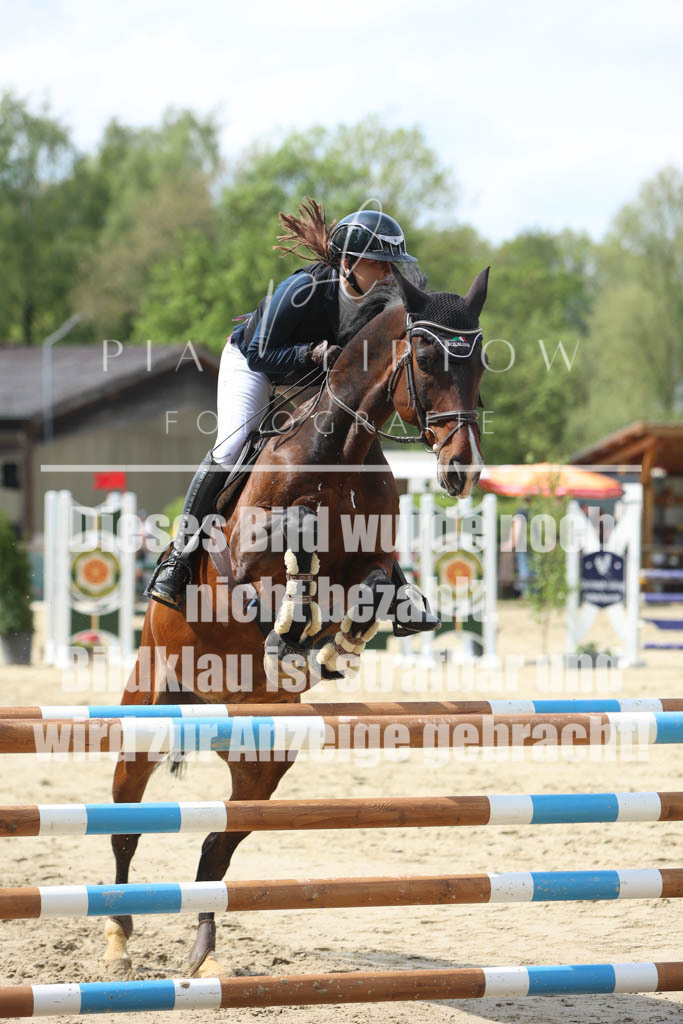 IMGM5813 | pl-fotografie