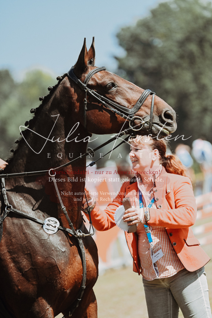 DSC_0146 | Pferde- und Turnierfotografie in Westsachsen. Pferdeportraits, Auftragszeichnungen und intuitive Kunst.