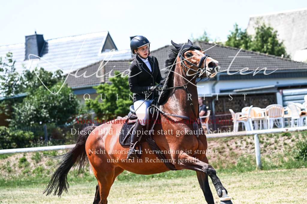 DSC_0051 | Pferde- und Turnierfotografie in Westsachsen. Pferdeportraits, Auftragszeichnungen und intuitive Kunst.