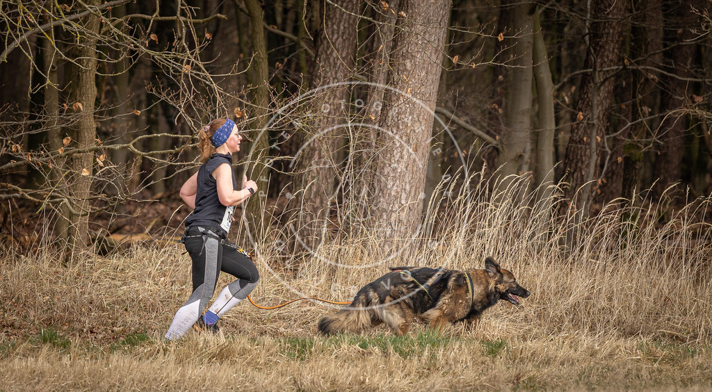 DV3A4203 | Hundefotografie, Tierfotograf, Pfotenfotografie, Fotoshooting Hund, Hunde Portrait, Hundesport, Hundeportraits, Heideshooting, Hunde, Sportfotograf, Hundefotograf, Turnierhundsport, THS,  - Realisiert mit Pictrs.com