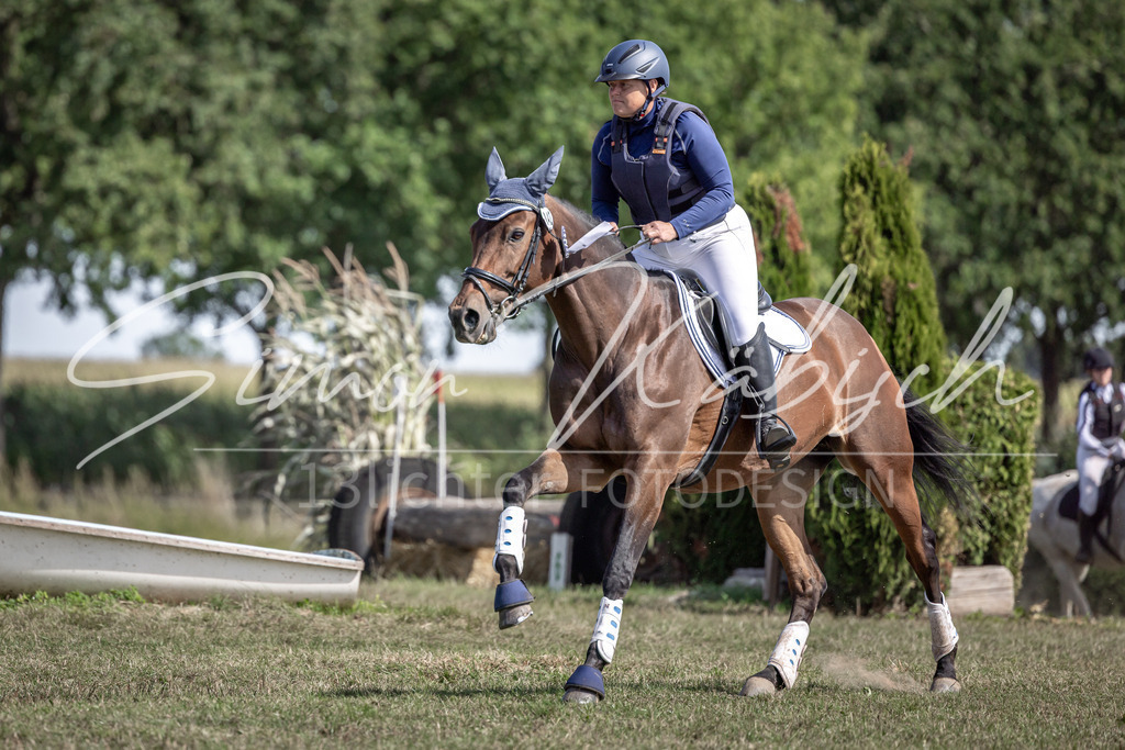 20250907-_3LI0584 | Tierfotografie Pferde, Hunde, Katzen, Haustiere.
Turnierfotografie Reitturniere, Reiten, Springreiten, Dressur in Hanau, dem Main-Kinzig-Kreis und dem Rhein-Main- Gebiet um Frankfurt