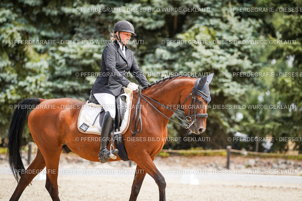 DSC03353 | Pferdegrafie