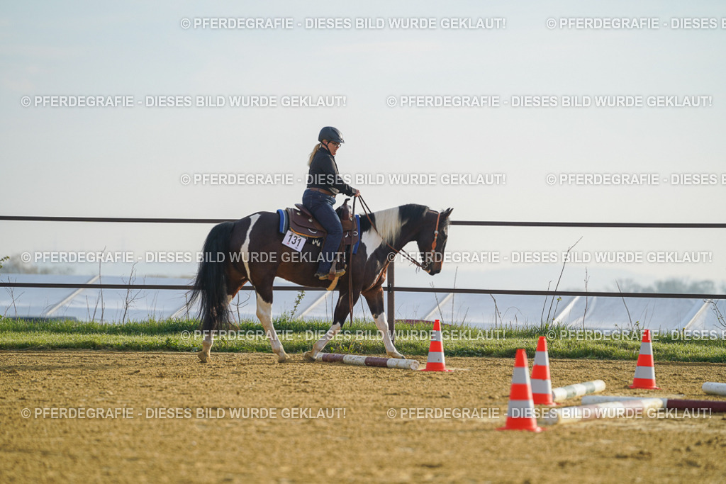 DSC09867 | Pferdegrafie