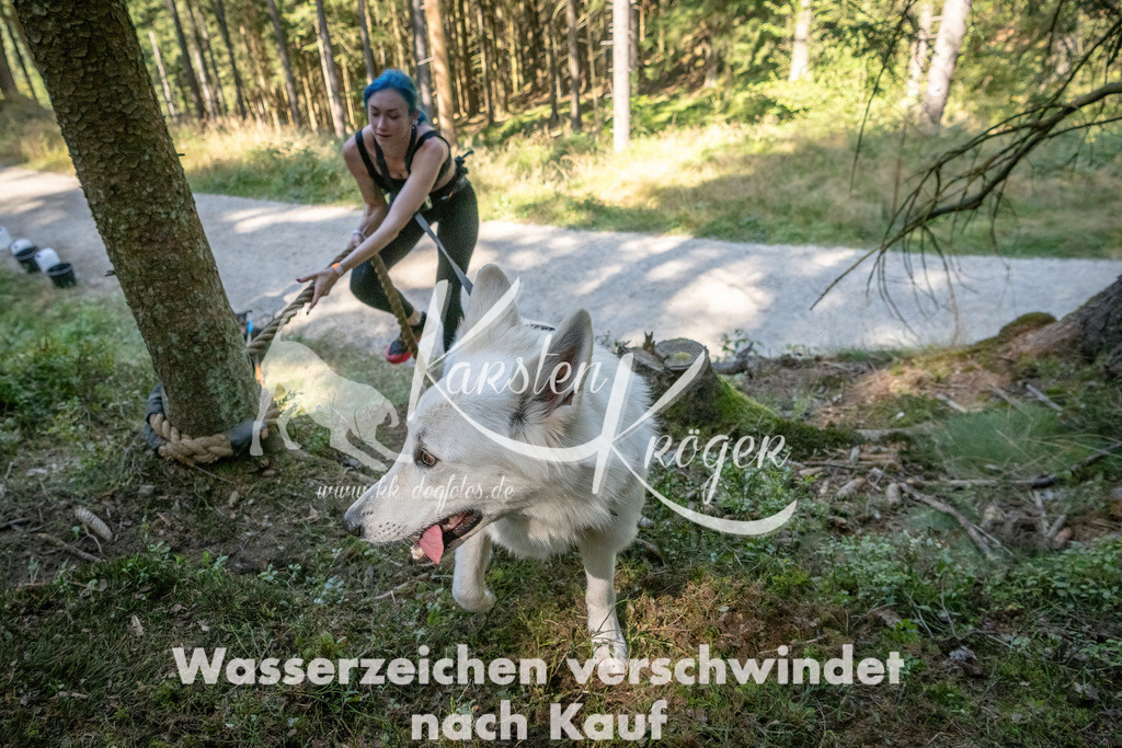 1223_ZZ94281 | kk-dogfotos