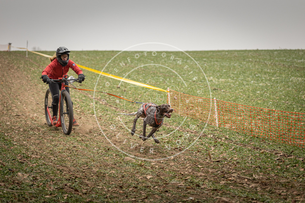 Pfotenfotografie_DV3A3636 | Hundefotografie, Tierfotograf, Pfotenfotografie, Fotoshooting Hund, Hunde Portrait, Hundesport, Hundeportraits, Heideshooting, Hunde, Sportfotograf, Hundefotograf, Turnierhundsport, THS,  - Realisiert mit Pictrs.com