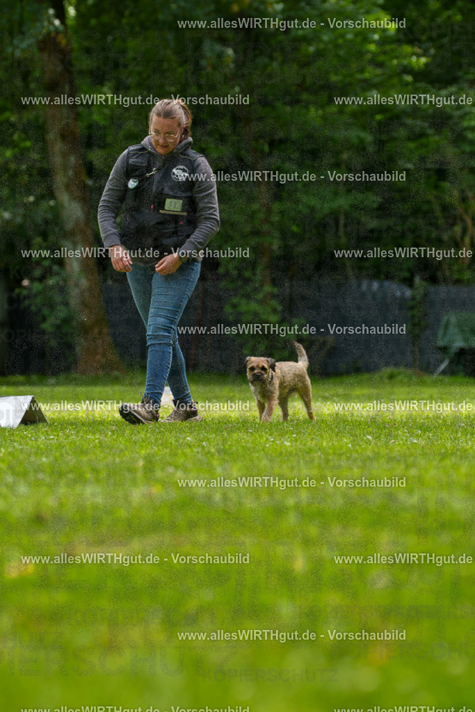 @allesWIRTHgut_Tierfotografie - www.allesWIRTHgut.de - 7R501998 | Professionelle Tierfotografie in Mönchengladbach von Daniel Wirth (allesWIRTHgut). Liebevolle & natürliche Bilder von Hunden & Katzen für unvergessliche Erinnerungen.