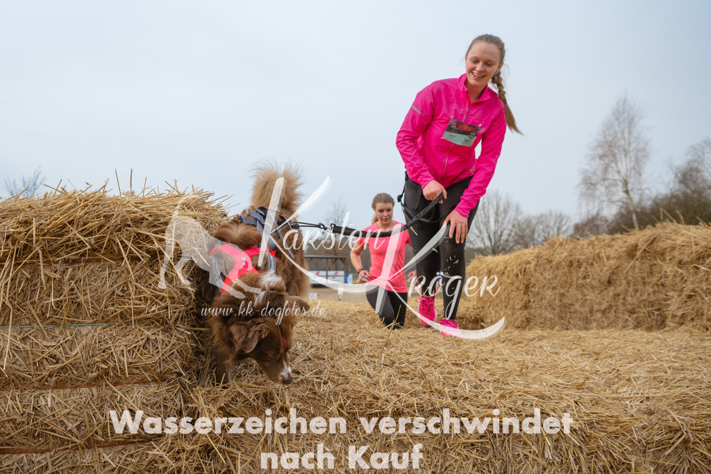 0901_ZZ96094 | kk-dogfotos