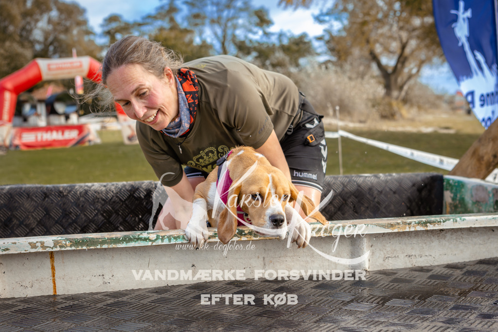 1538_ZZ96923 | kk-dogfotos