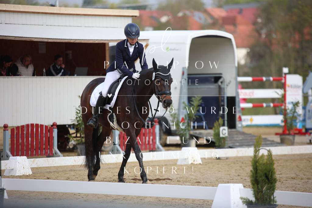 IMGT6139 | pl-fotografie