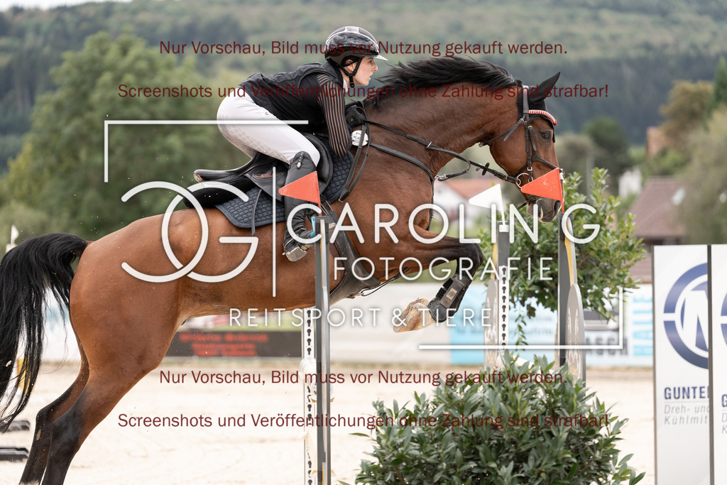 DSC06434 | Springturnier_Teamchallege_Talheim_2026, Lara-Sophie_Strohm, Champ_Charming