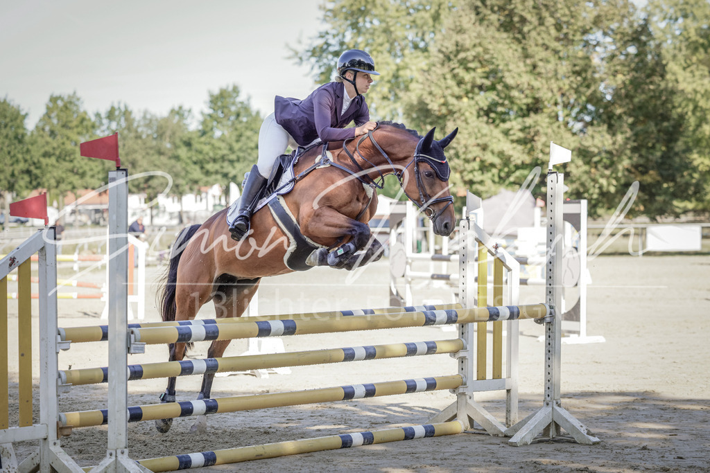 20250906-_3LI3361 | Tierfotografie Pferde, Hunde, Katzen, Haustiere.
Turnierfotografie Reitturniere, Reiten, Springreiten, Dressur in Hanau, dem Main-Kinzig-Kreis und dem Rhein-Main- Gebiet um Frankfurt