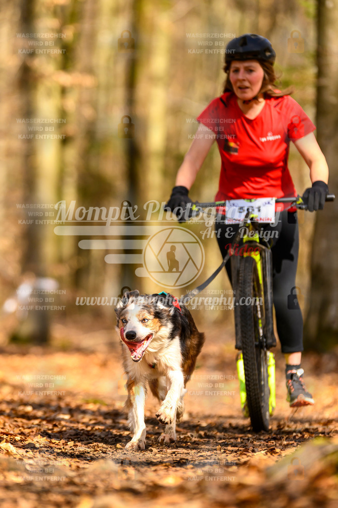 MompixPhotography_Habay2025_SA_SCO-57 | PayLife