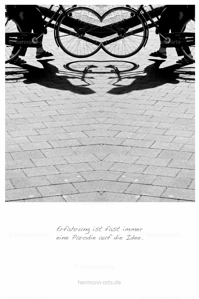 PK_Zitate_10x15_BW-124 | Photo Foto Kunst Art schwarzweiss Bilder Rheine Münster Berlin Blumen 