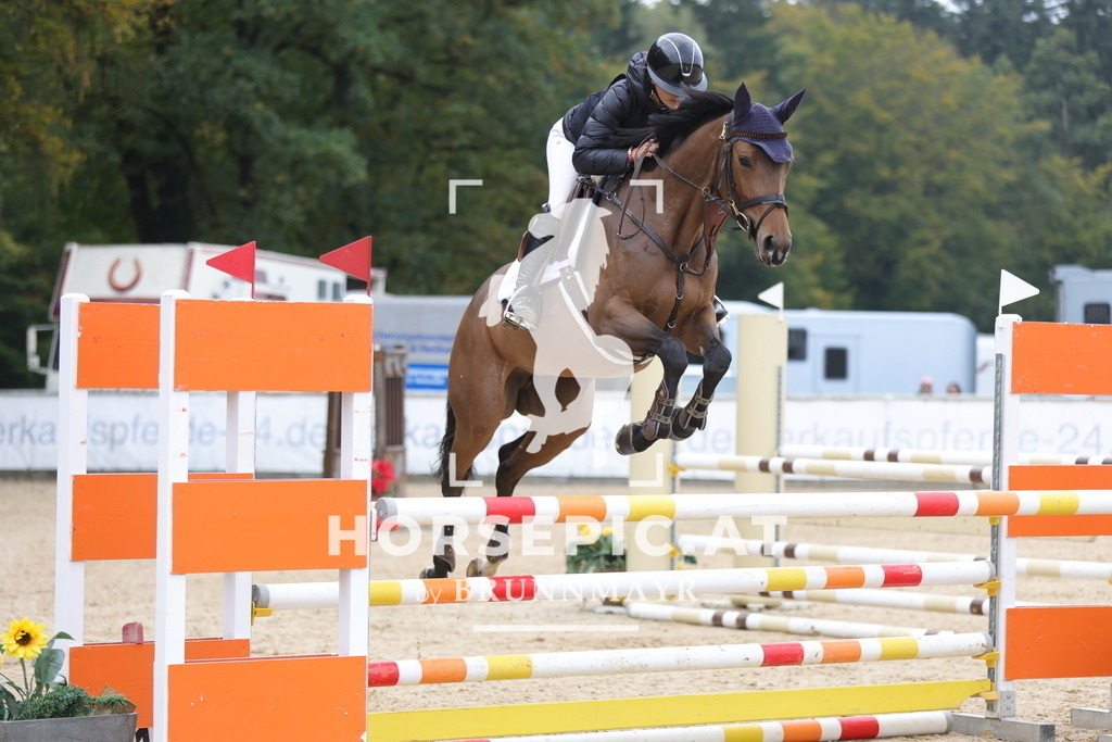 0P6A3315 | Willkommen bei Brunnmayr - Design & Fotografie – Ihrem Spezialisten für Reitturniere und Pferdeveranstaltungen in Oberösterreich, Salzburg und Bayern! Seit über 17 Jahren sind wir leidenschaftlich dabei.
