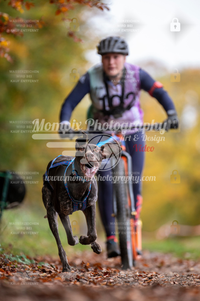 DBT_DAKM_SA_4_11_2023_DS1-16 | mompixphotography