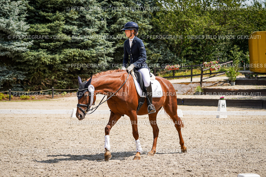 DSC01887 | Pferdegrafie