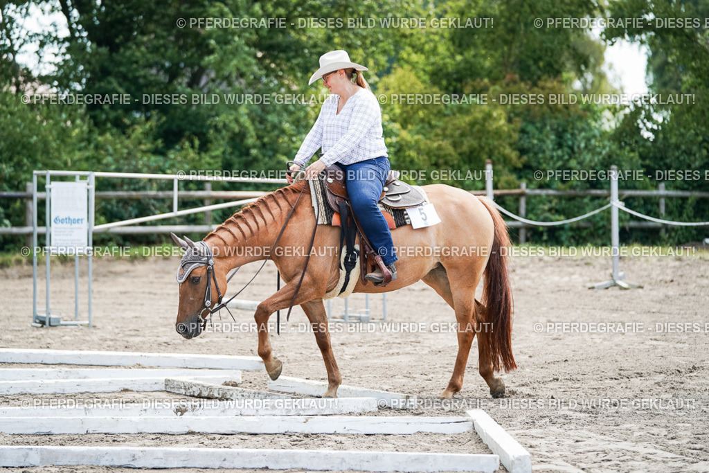 DSC05840 | Pferdegrafie