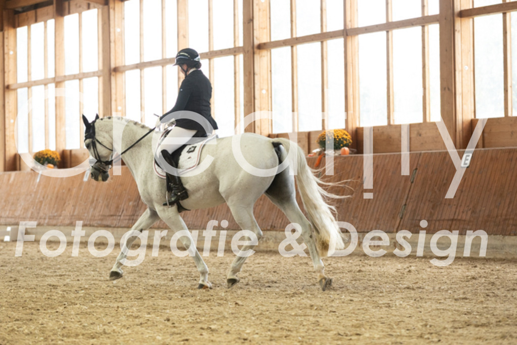 IMG_3067 | Creatify Fotografie