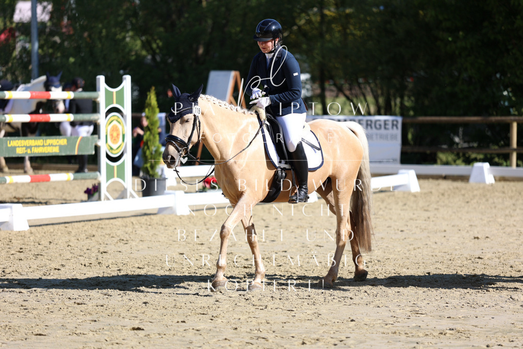 IMGT9780 | pl-fotografie